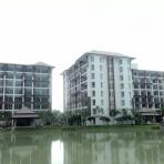 Condominium Pattaya
