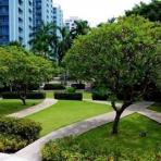 ขาย คอนโด - บางกอก การ์เด้น ใกล้เซ็นทรัลพระราม 3 Condo for Sale -  Bangkok garden Narathiwat 24 - 100 sq.m 2 bedroom